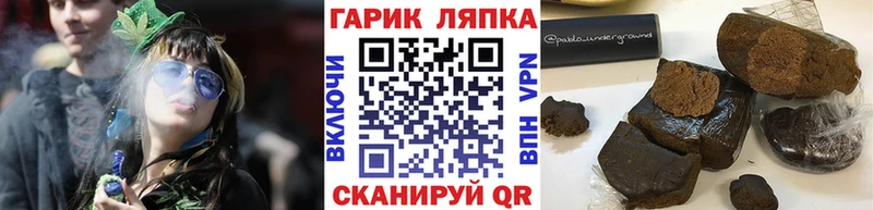 закладки  Торопец  Гашиш индика сатива 