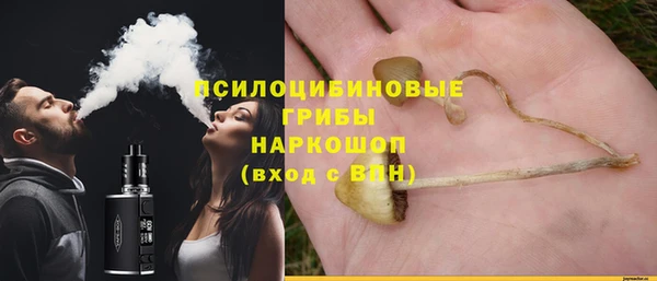 соль ск Новодвинск